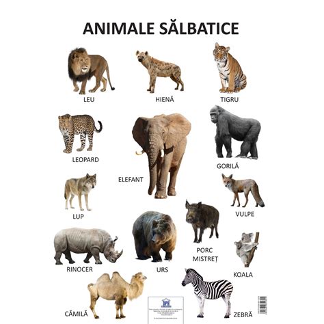 Plansa Animale salbatice - 50x70 plastifiata