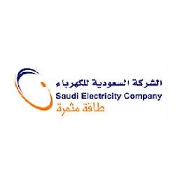 Electricity Company: Saudi Electricity Company