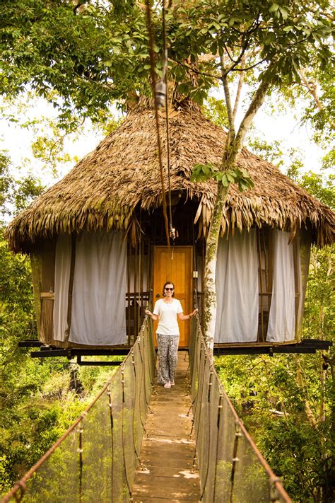 My Honest Experience Staying at the Treehouse Lodge in Peru | Forest resort, Amazon rainforest ...