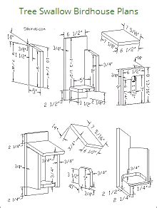 Tree Swallow Birdhouse Plans | Bird house plans, Bird houses, Bird ...