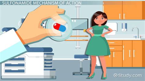 Sulfonamide: Mechanism of Action & Uses - Lesson | Study.com