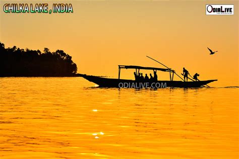 Chilka Lake : Asia’s largest salt-water lagoon