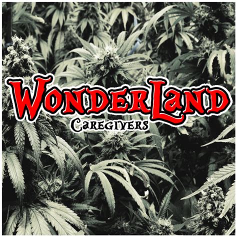 LA Wonderland Caregivers - Los Angeles, CA - Reviews - Menu - Photos ...