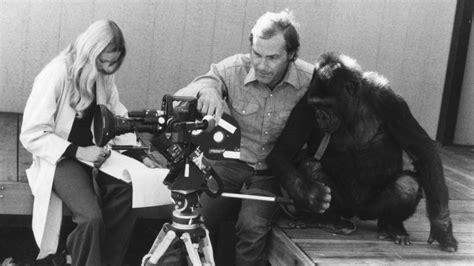 Koko: A Talking Gorilla - Tribute Screening - Northwest Film Forum