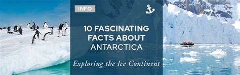 10 Facts About Exploring Antarctica - The Cruise Village