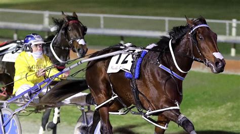 Harness racing: Breeders Crown heats preview at Bendigo | news.com.au ...