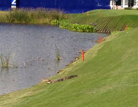 Review: TPC of Louisiana – Worldgolfer's Golf Course Reviews