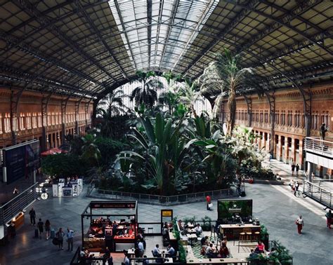 ️ Visita gratuita al Jardín tropical de la estación de Atocha