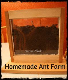 17 Best DIY Ant Farm images | Ants, Formicarium, Ant habitat