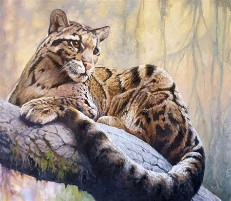 Clouded Leopard, Asian, Oil Paintings, Canvas, Animals, Leopards, Originals, Big Cats, Artworks ...