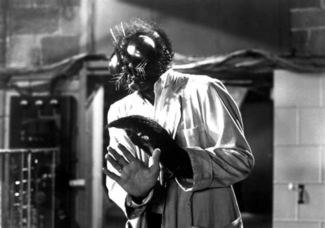 The Fly **** (1958, David Hedison, Patricia Owens, Vincent Price ...