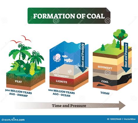 Formation Of Fossil Fuels Diagram