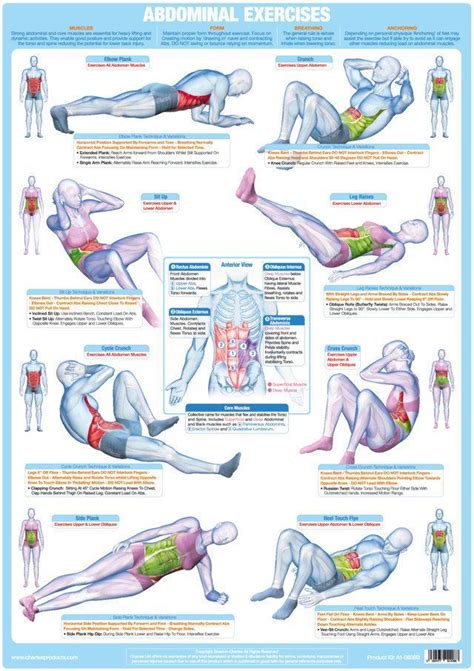 Abdominal And Core Muscles Floor Exercise Poster