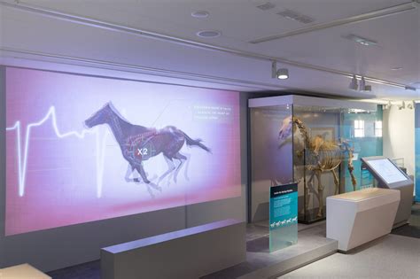 Discover the origins of horseracing - National Horseracing Museum, Suffolk