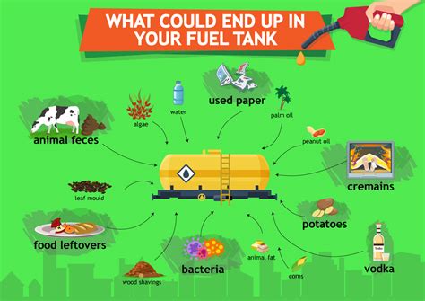 [GREEN ENERGY] Why biofuels are a promising option for sustainability ...