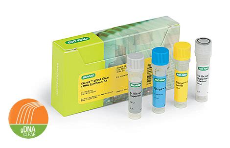 iScript™ gDNA Clear cDNA Synthesis Kit | Life Science Research | Bio-Rad