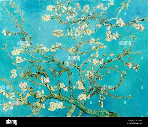 Van Gogh Cherry Blossoms | atelier-yuwa.ciao.jp