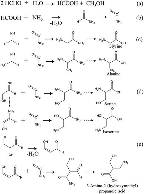 Reaction scheme producing amino acids (glycine, alanine and hydroxy... | Download Scientific Diagram