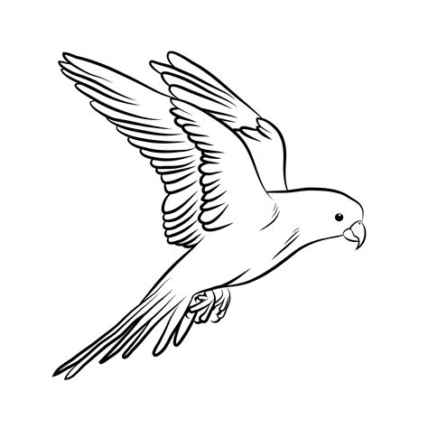 Bird Outline Drawing