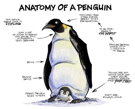 Anatomy of a Penguin