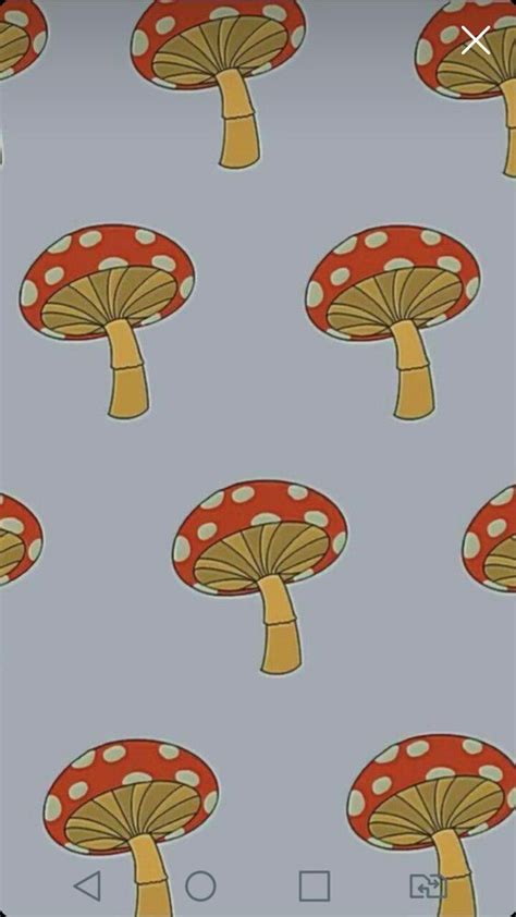 Indie Mushroom Wallpaper - Rainilyahead Ranas Chibi Cogumelo Dibujos ...