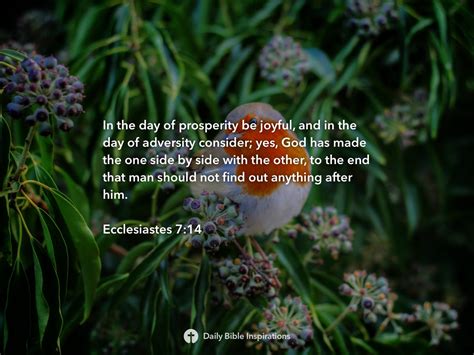 Ecclesiastes 7:14 | Daily Bible Inspirations