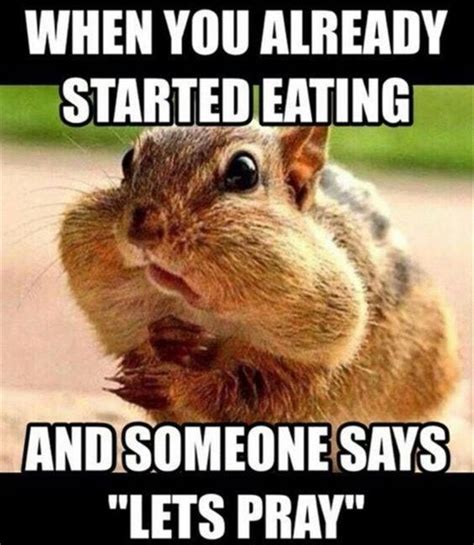 19 Funniest Squirrel Meme That Make You Smile | MemesBoy