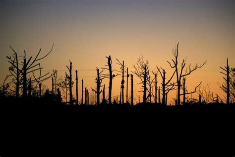 Alabama Tornado Devastation in Photos - The Atlantic