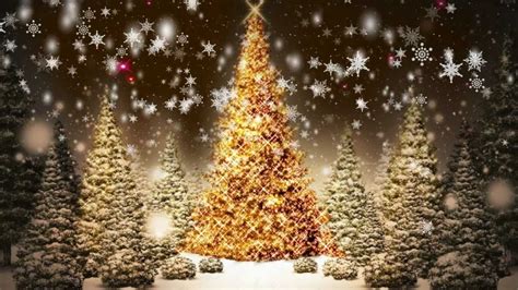 Snowflakes Falling Christmas Trees Motion Graphic Video Loop Free Download Facebook Christmas ...