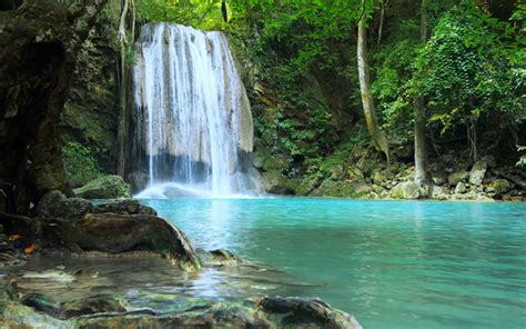 Download wallpapers waterfall, rainforest, blue lake, green trees ...