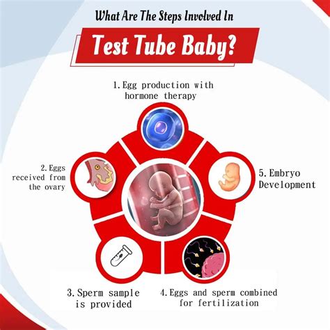 Test Tube Baby Centre In Punjab | Test Tube Baby Cost Bathinda