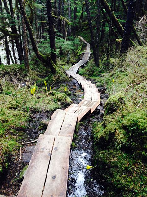 One of the great hiking trails in Juneau, Alaska! Alaska | Travel Alaska | Alaska Highlights ...