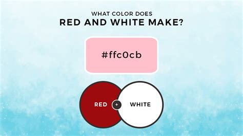 Red and White Mixed! What Color Do Red and White Make? (Updated 2023)