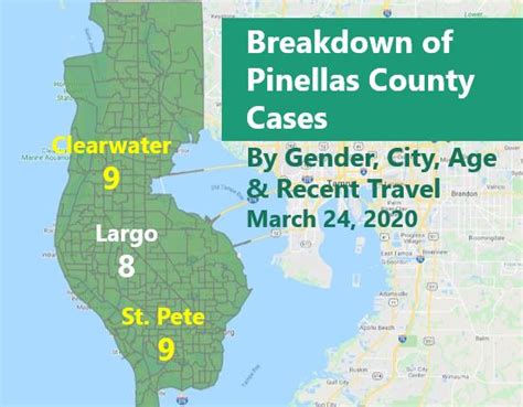 Breakdown: Pinellas County COVID Cases (By Gender, City, Age & Recent ...