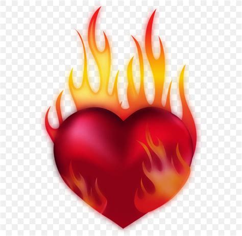 Heart Fire Clip Art, PNG, 569x800px, Heart, Combustion, Fire, Flame ...