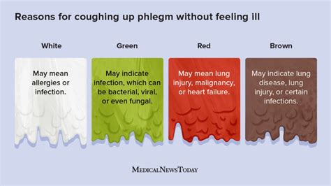 Coughing up phlegm but not sick: Causes, phlegm colors, and more