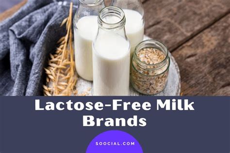 10 Lactose-Free Milk Brands That Taste Delicious - Soocial