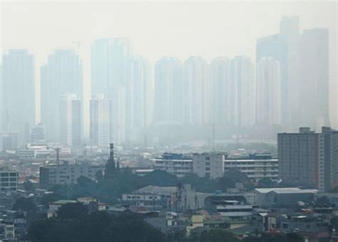 Jakarta third most polluted city – and its air quality is getting worse | Asia Pacific Report