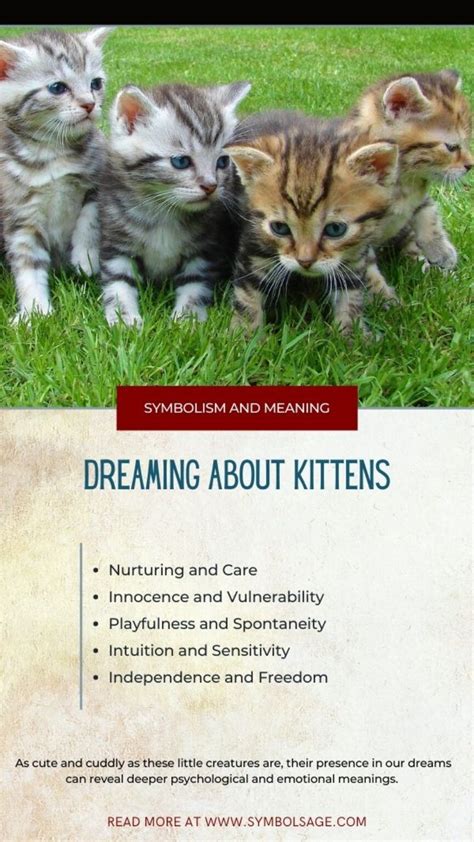 Dreaming about Kittens – Meaning and Symbolism