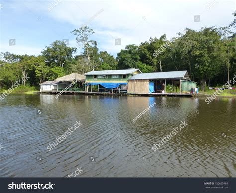 Floating Houses On Riverbank Amazon Rainforest Stock Photo (Edit Now) 152655464