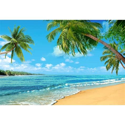 Hawaiian Photography Background Blue Sky And White Clouds Clear Water Backdrop For Outdoor And ...