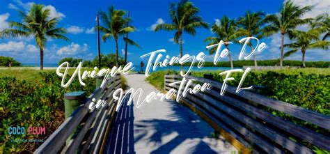 25 Unique Things to Do in Marathon, Florida: Your Ultimate Guide | Coco Plum Vacation Rentals