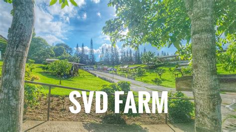 SVD FARM | BALAY DAKO, Tagaytay | San Antonio De Padua Silang Cavite | Cana At Silang - YouTube