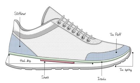 Anatomy of the Shoe