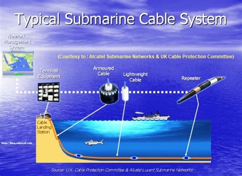 Next Generation Submarine Network – Wet Plant or Submerged Plant ...