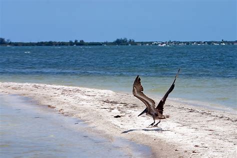 What is a Humid Subtropical Climate? - WorldAtlas.com