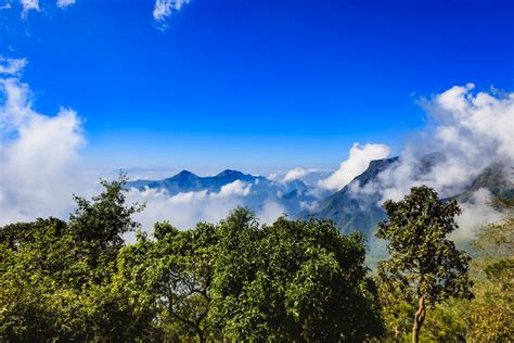 Hill Station Kodaikanal Reopens For Tourists | The Dope