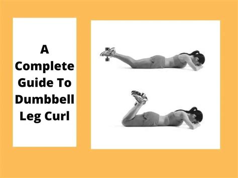 Hamstring Curl Muscles Worked Factory Sale | juliannakunstler.com