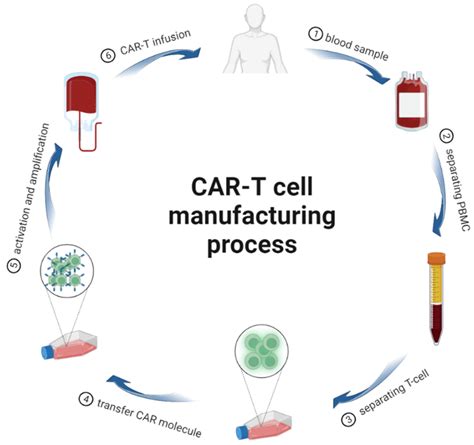 The CAR-T cell manufacturing process. | Download Scientific Diagram