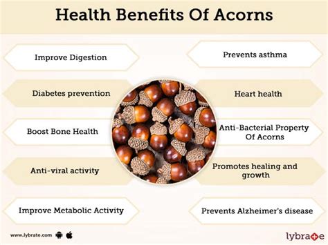 Benefits of Acorns And Its Side Effects | Lybrate